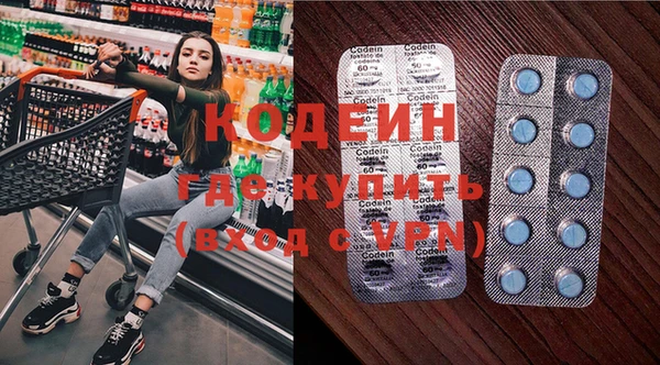 шишки Гусев
