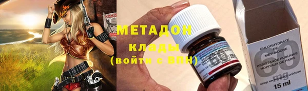 индика Гусь-Хрустальный