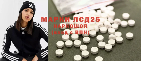 индика Гусь-Хрустальный