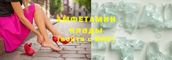 индика Гусь-Хрустальный