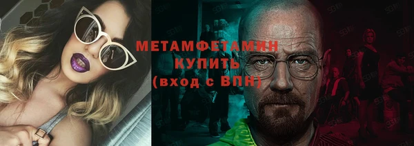 индика Гусь-Хрустальный