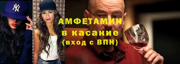 индика Гусь-Хрустальный