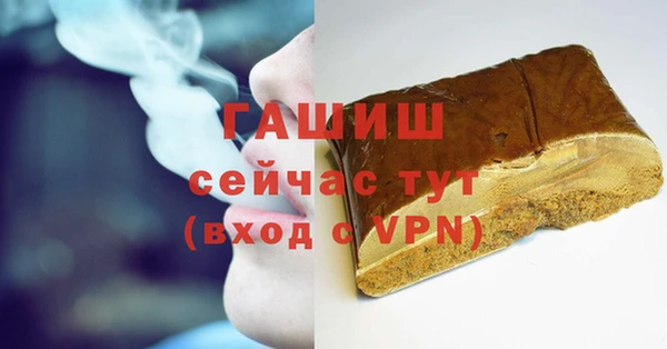 индика Гусь-Хрустальный