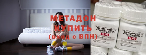 индика Гусь-Хрустальный