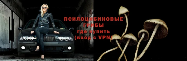 шишки Гусев