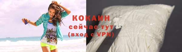 шишки Гусев