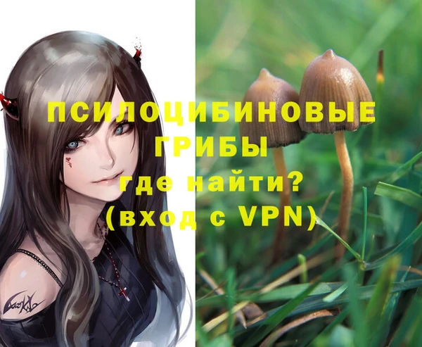 шишки Гусев