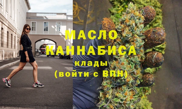 индика Гусь-Хрустальный