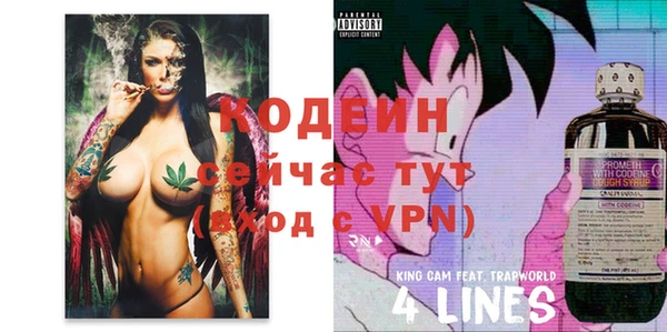 шишки Гусев