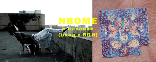 шишки Гусев