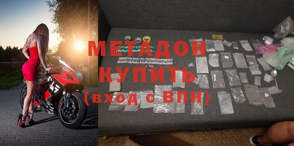 индика Гусь-Хрустальный