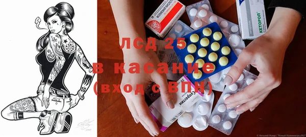 шишки Гусев