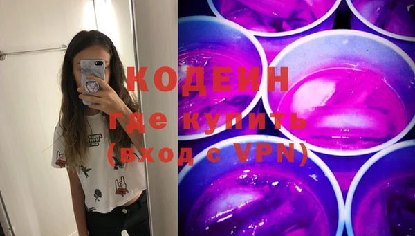 индика Гусь-Хрустальный