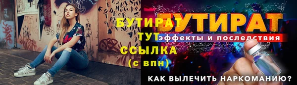 индика Гусь-Хрустальный