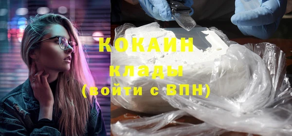 индика Гусь-Хрустальный