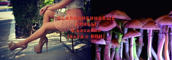 индика Гусь-Хрустальный