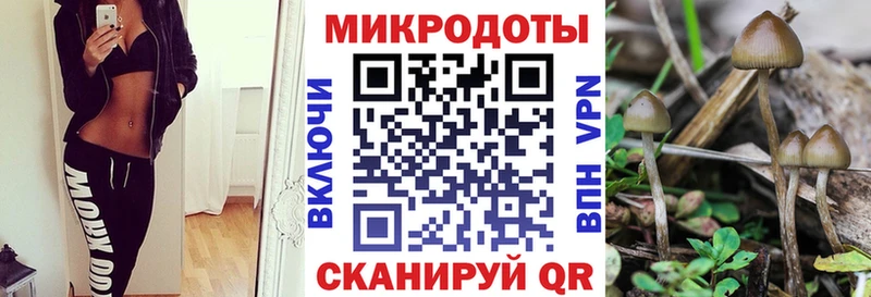 Псилоцибиновые грибы Psilocybine cubensis OMG зеркало Салават